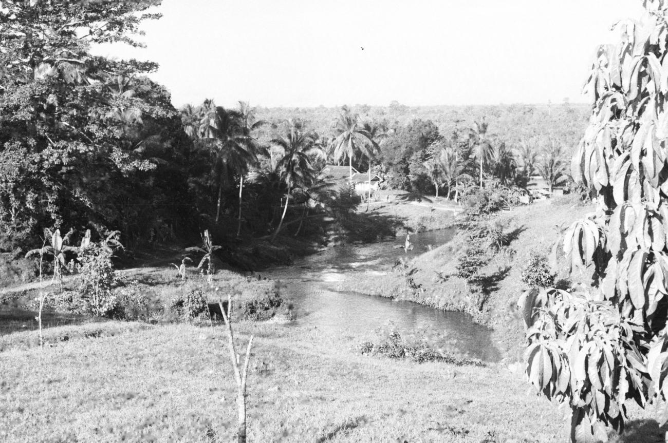 BD/133/675 - 
Landschap met rivier, huizen op de oever en oerwoud
