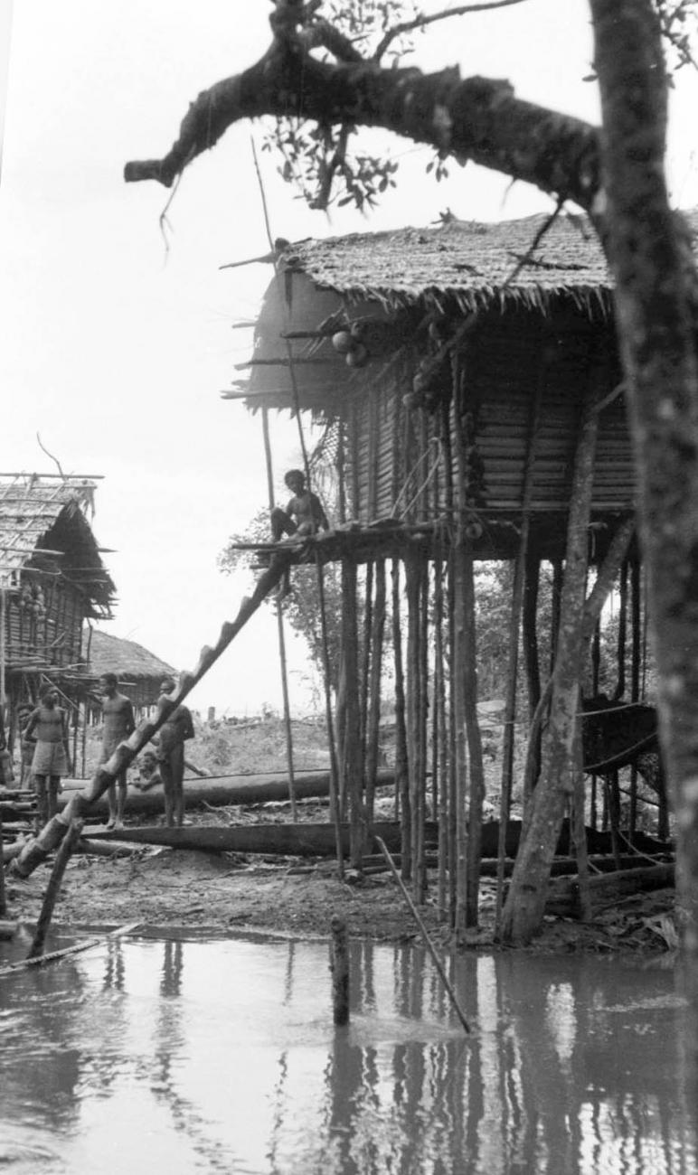 BD/133/68 -
Tocht Merauke-Kapi: Huis op palen