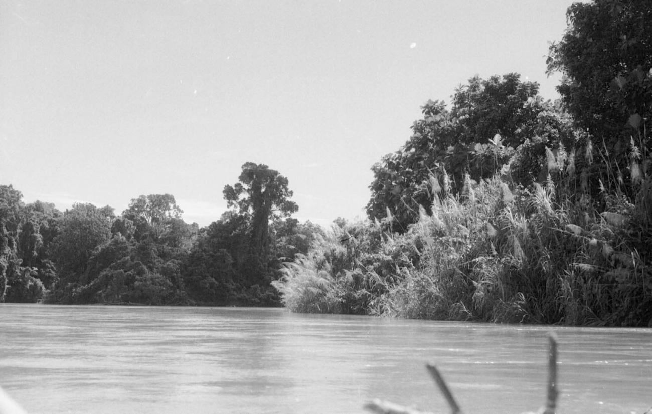 BD/133/74 -
Sarmi-Hollandia: Opname vanuit een boot over de rivier