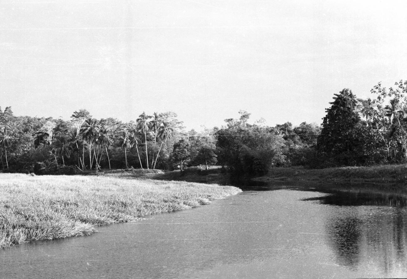 BD/133/861 - 
Rivierlandschap met oerwoud

