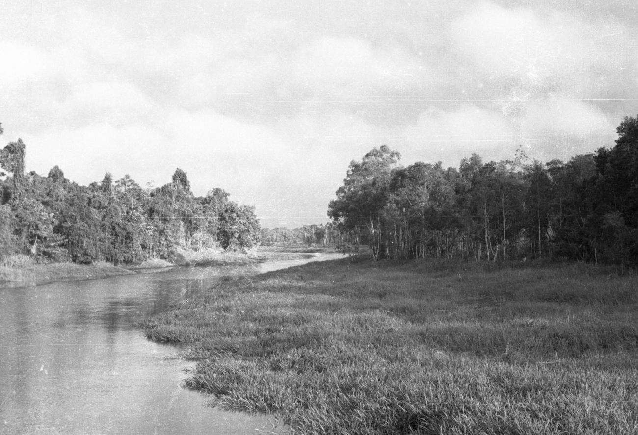 BD/133/862 - 
Rivierlandschap met oerwoud

