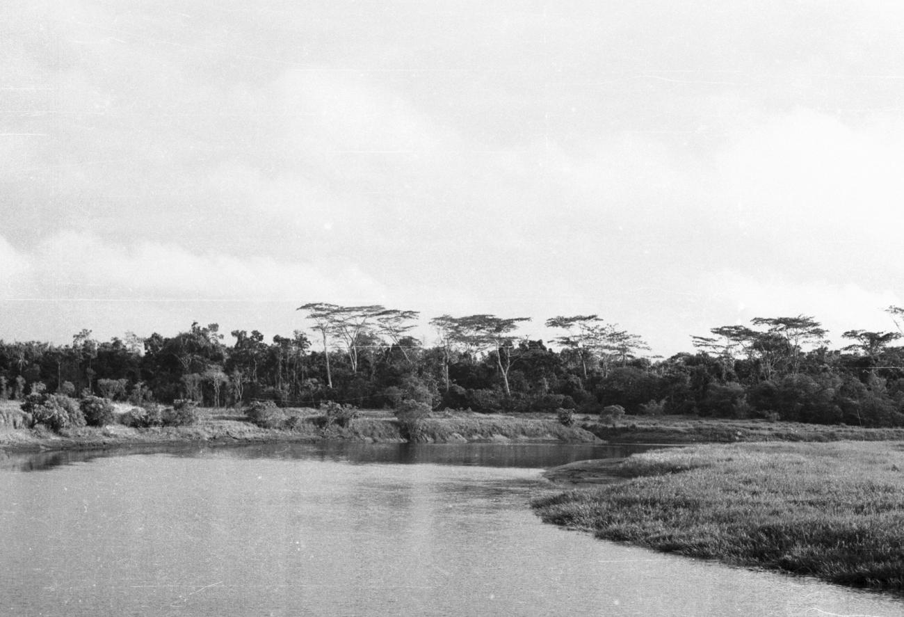 BD/133/863 - 
Rivierlandschap met oerwoud

