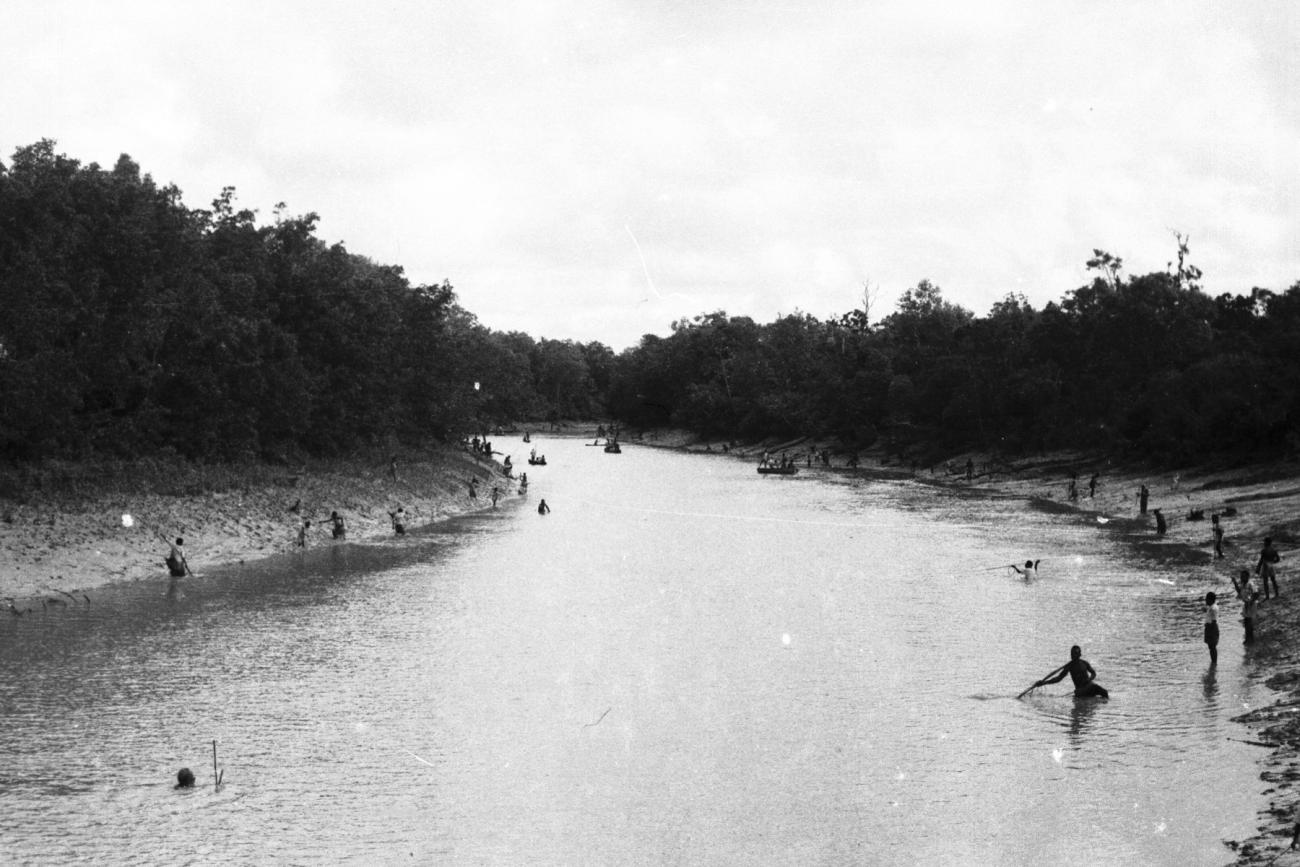 BD/133/944 - 
Rivierlandschap met langs de oevers vissende Papoea&#039;s 
