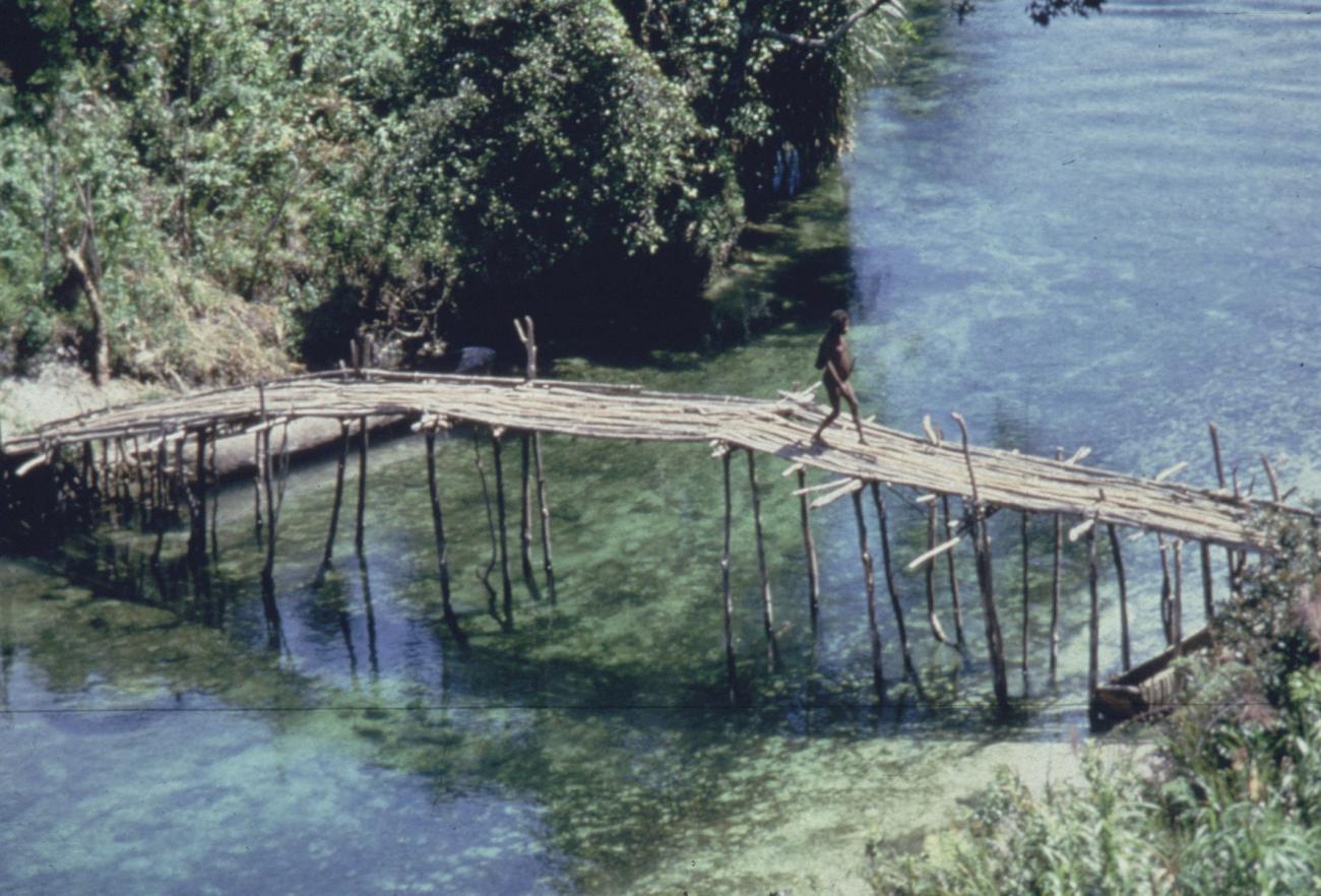 BD/285/43 - 
Brug van takken over een rivier 
