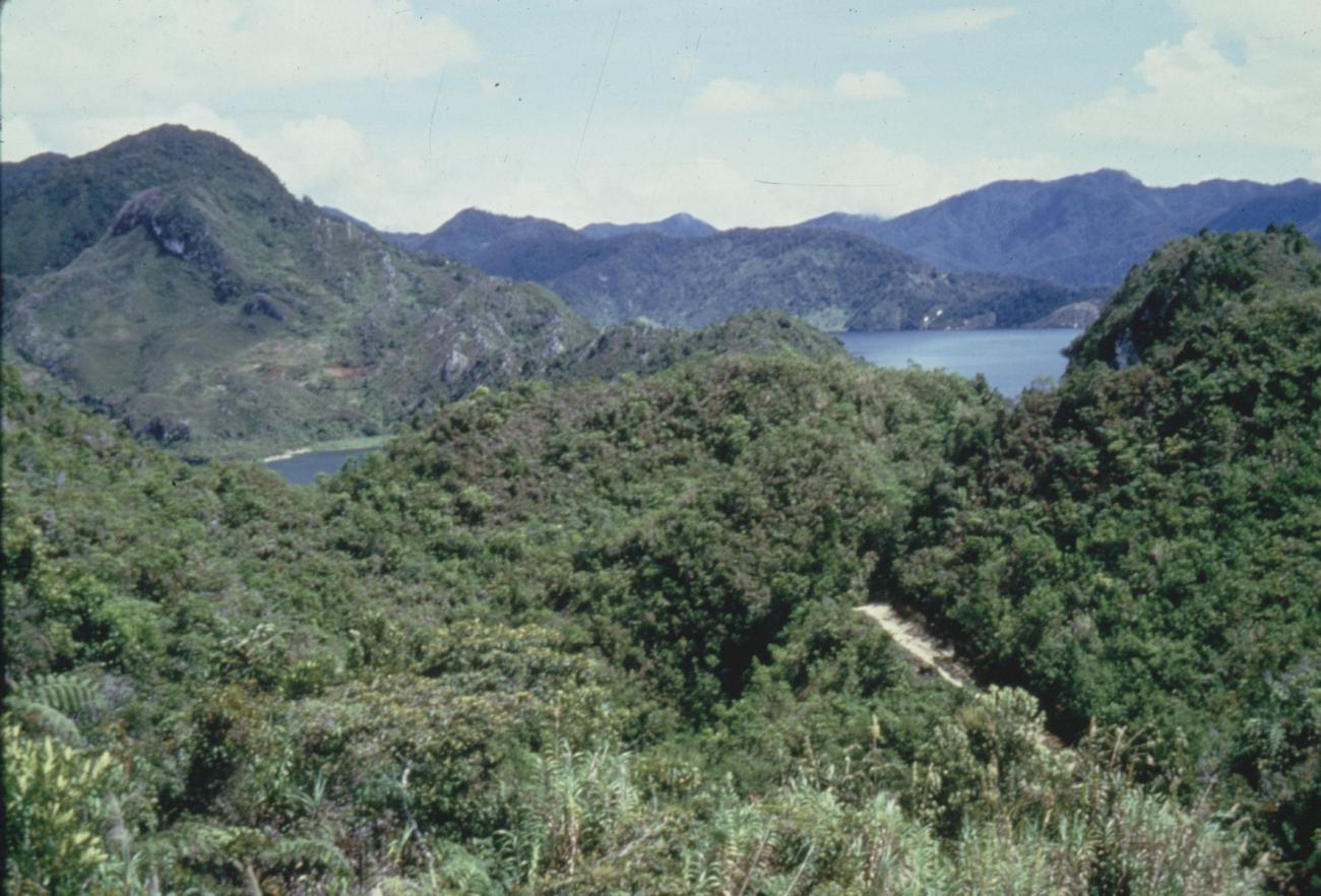 BD/285/44 - 
Berglandschap
