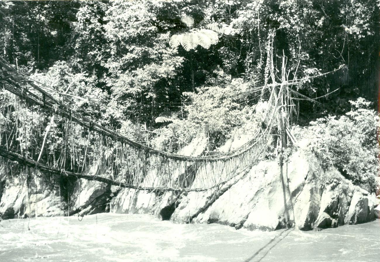 BD/40/65 - 
Suspension bridge over water

