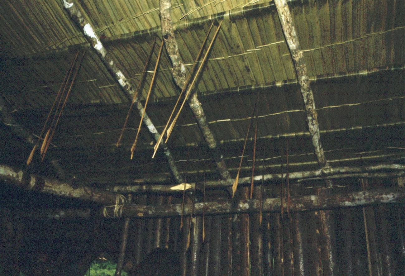 BD/216/352 -
Pijlen in het dak geschoten bij ritueel adoptie in het dorp Yab-Tambor