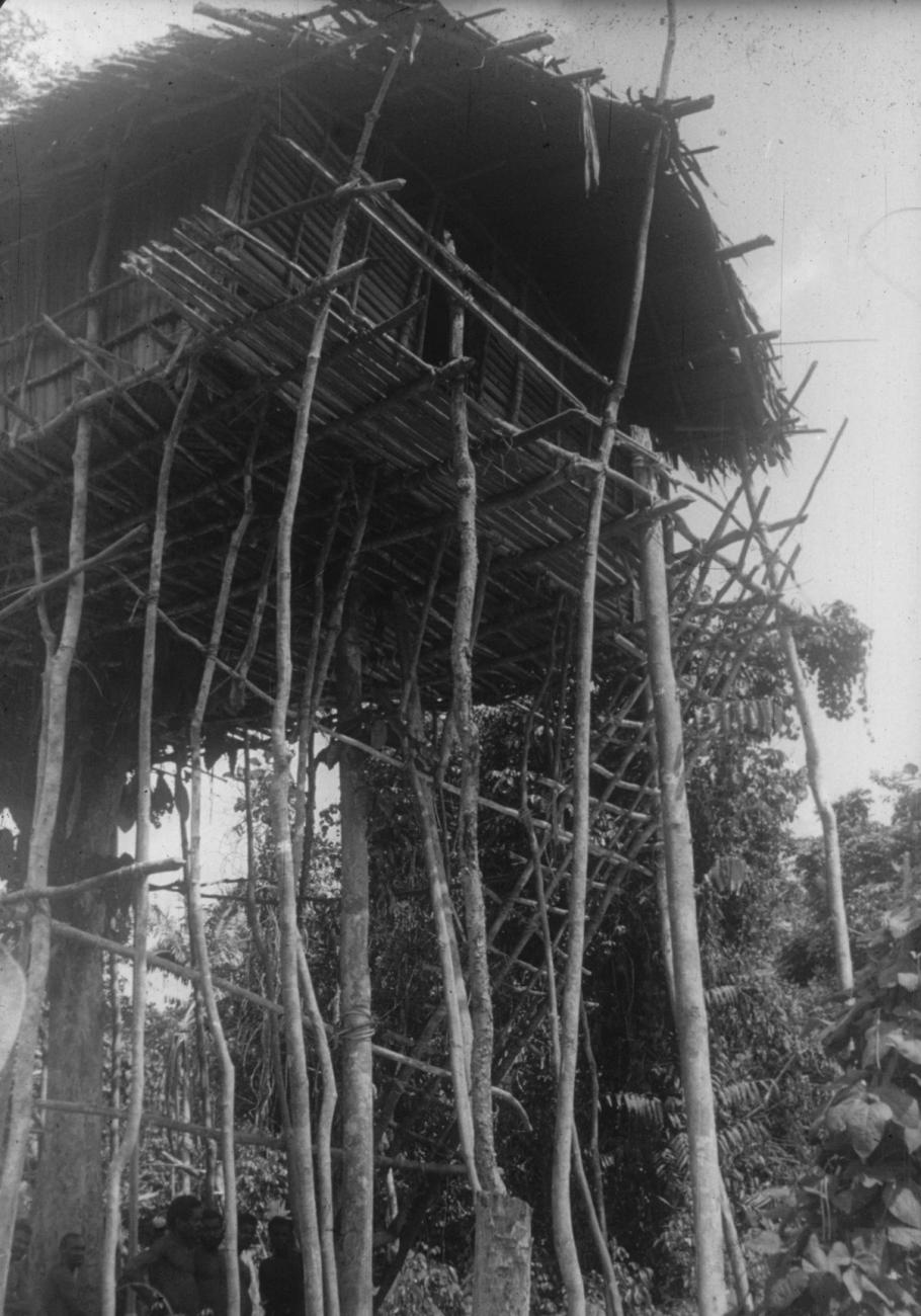 BD/216/9 -
Traditionele paalwoning