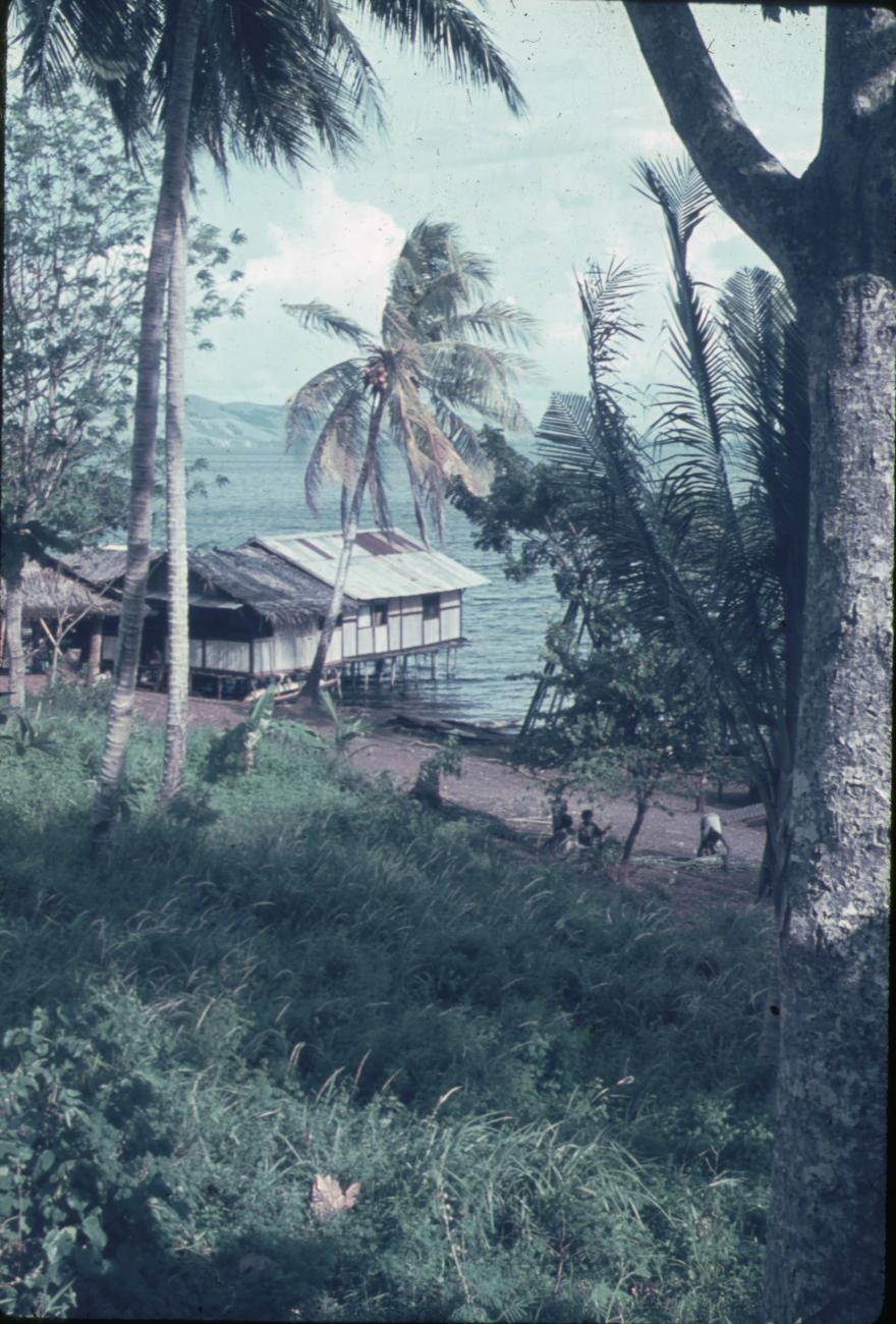 BD/248/285 - 
Uitzicht op huis in het water (Sentani)
