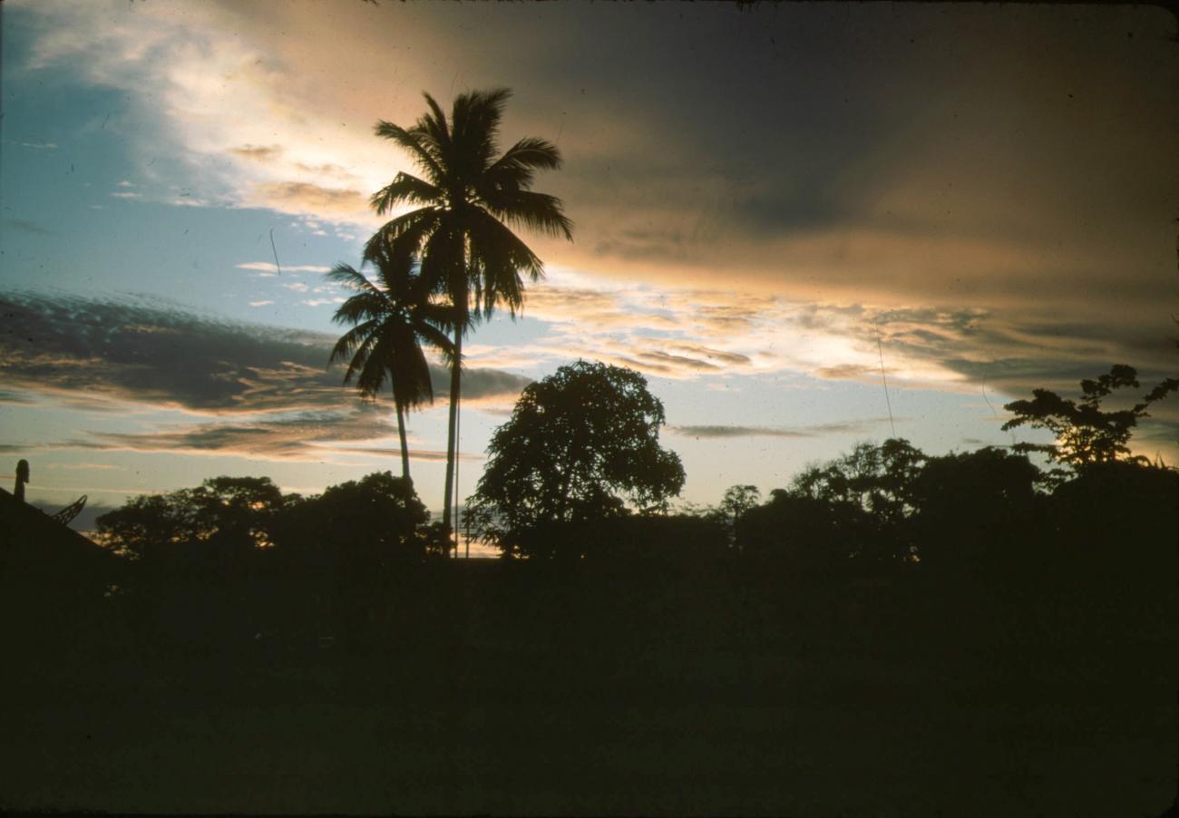 BD/288/166 - 
Zonsondergang
