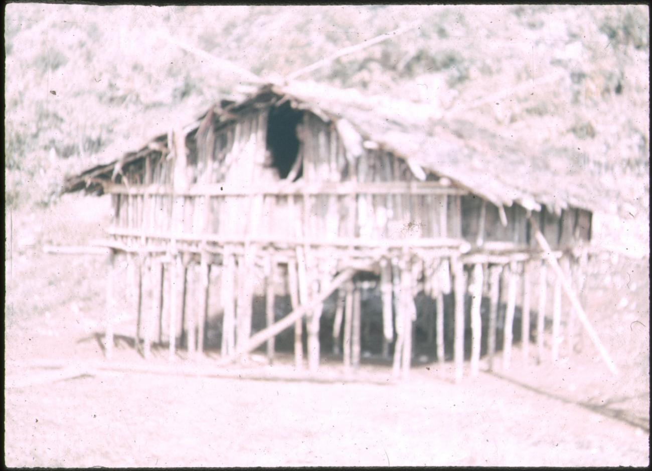 BD/309/148 - 
Traditionele paalwoning in de Vogelkop
