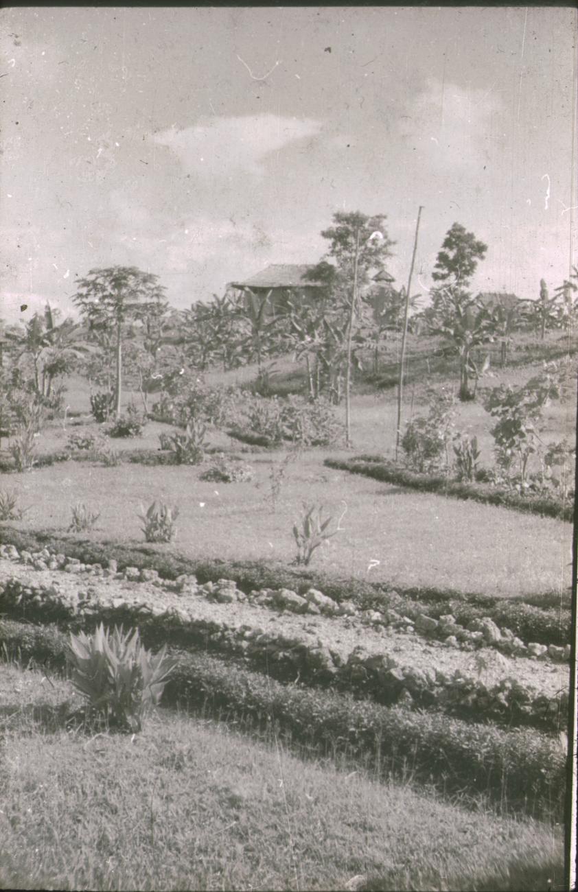 BD/309/217 -
Landschap met het terrein van de Jongens Vervolgschool JVVS in Teminabuan
