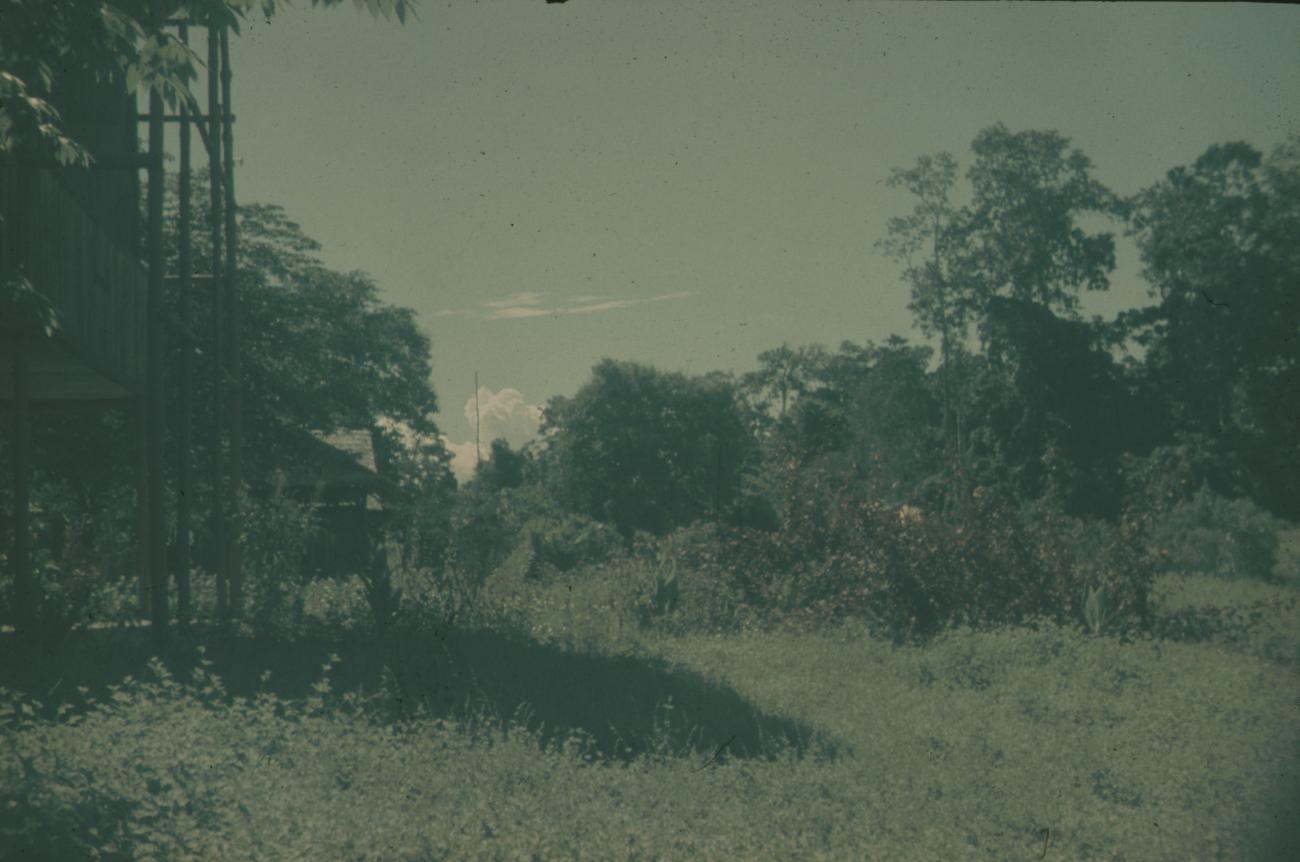 BD/309/282 -
Landschap met gebouw