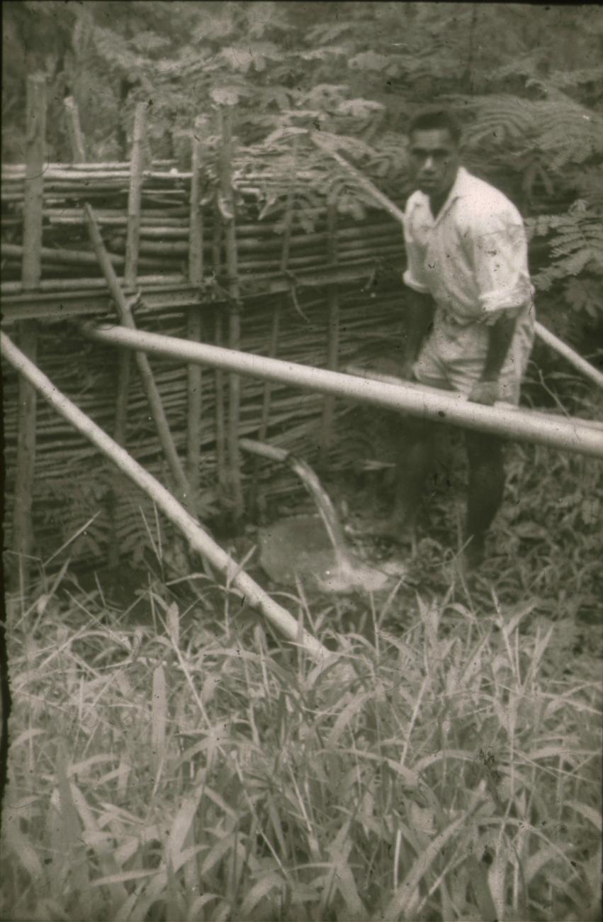 BD/309/311 -
Bevloeiing van cacaoplantage uit een waterbassin