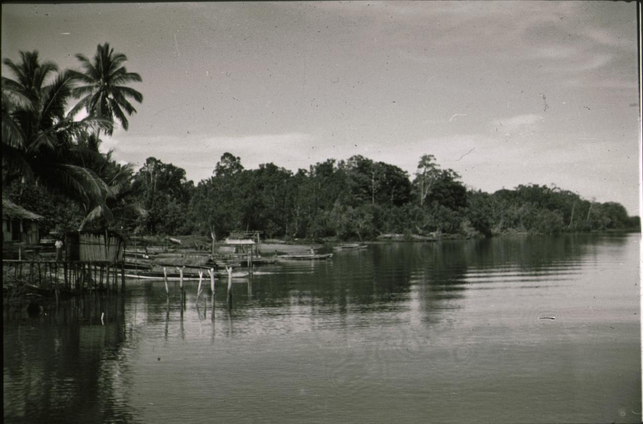 BD/309/326 -
Landschap van rivier en oever