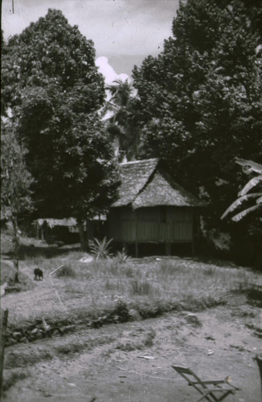 BD/309/371 -
Dorpsgezicht van het dorp Wersar met paalwoning
