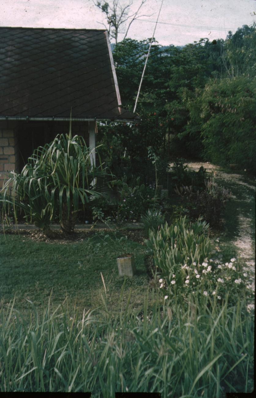 BD/309/412 -
Nieuw woonhuis in het gebied van Hollandia