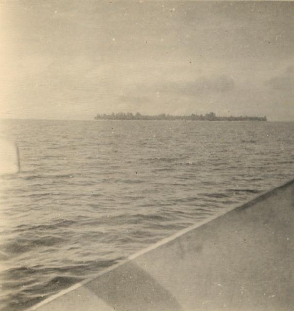 BD/318/83 -
Foto van eiland genomen vanaf schip op Sentani-meer