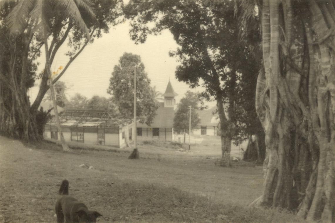 BD/318/84 -
Dorpsgezicht te Fak-Fak, o.m. gebouwen in aanbouw
