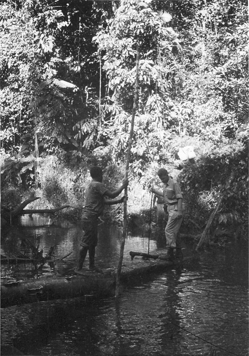 BD/328/25 -
Tournee in het District Moraid, Onderafdeling Sorong
