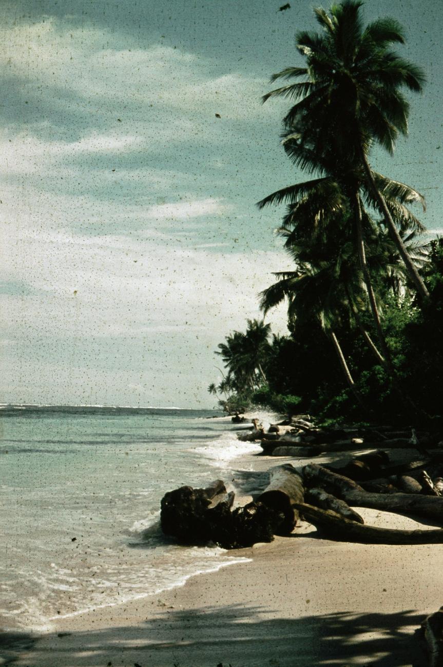 BD/66/243 -
Strand met palmbomen