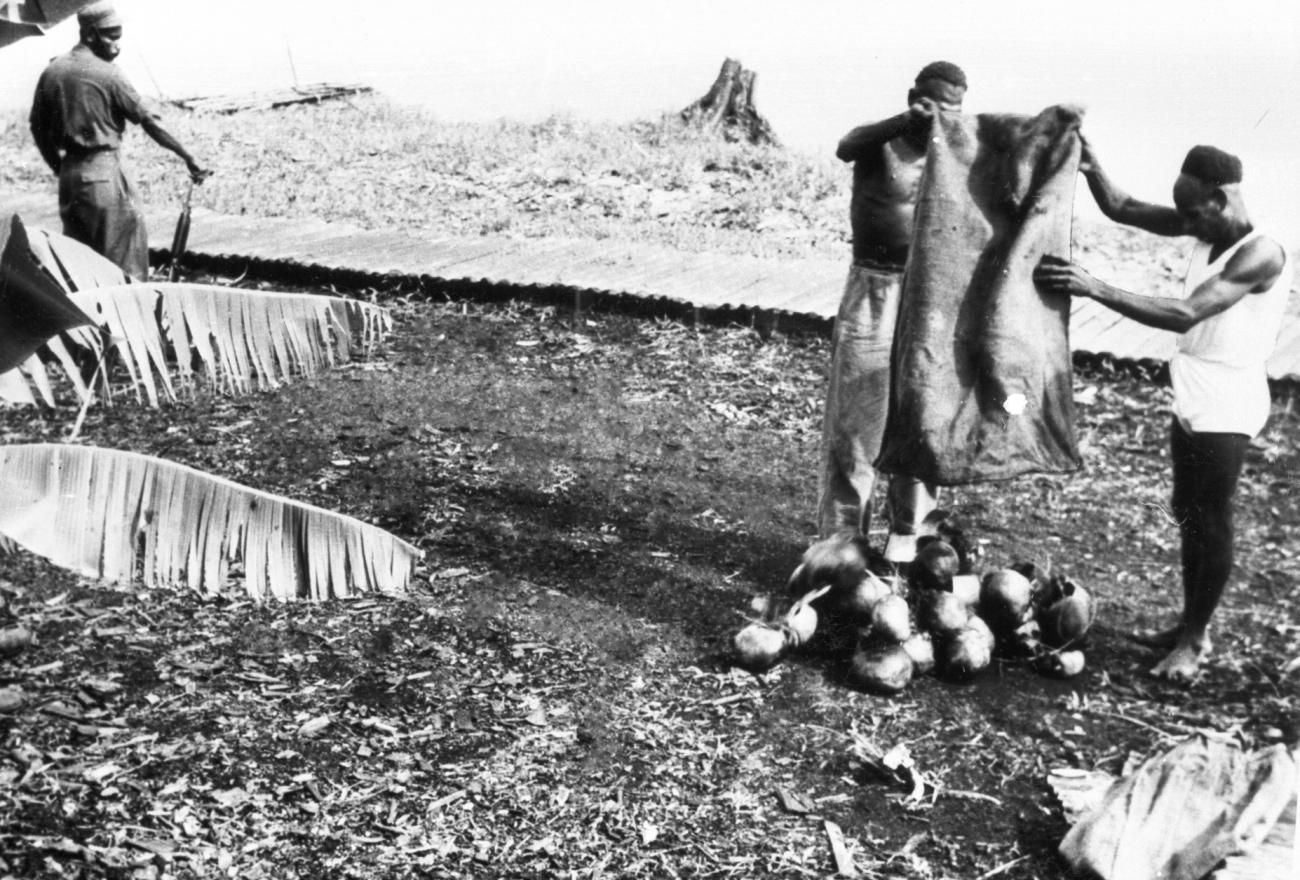 BD/66/421 -
Schedels worden op de grond gegooid