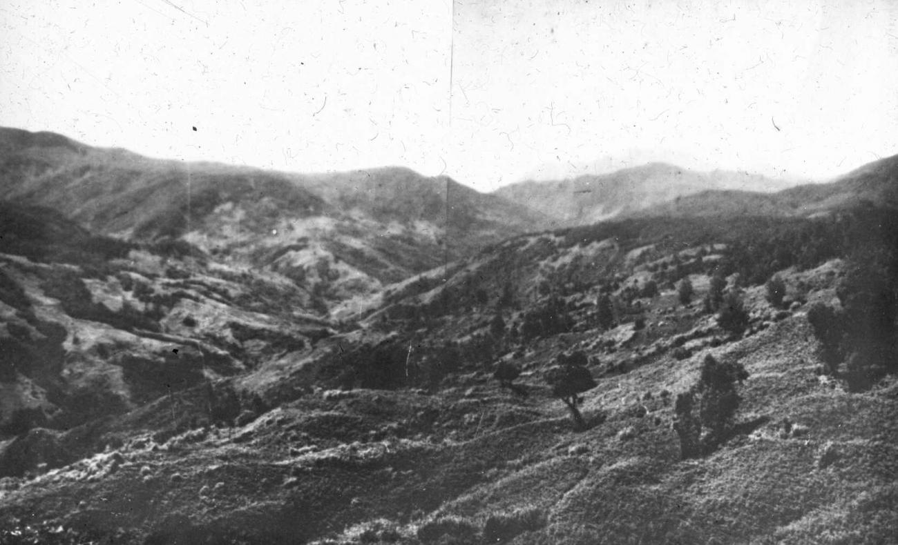 BD/66/459 - 
Uitzicht vanaf Bilogai, Baliemvallei
