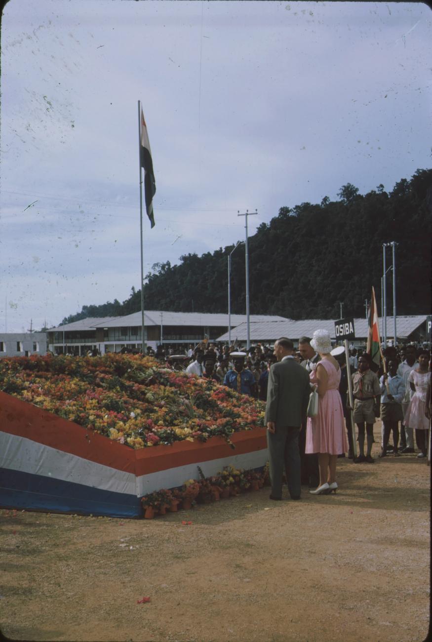 BD/171/163 - 
Koninginnendag, planten ter ere van koningin en prins. 
