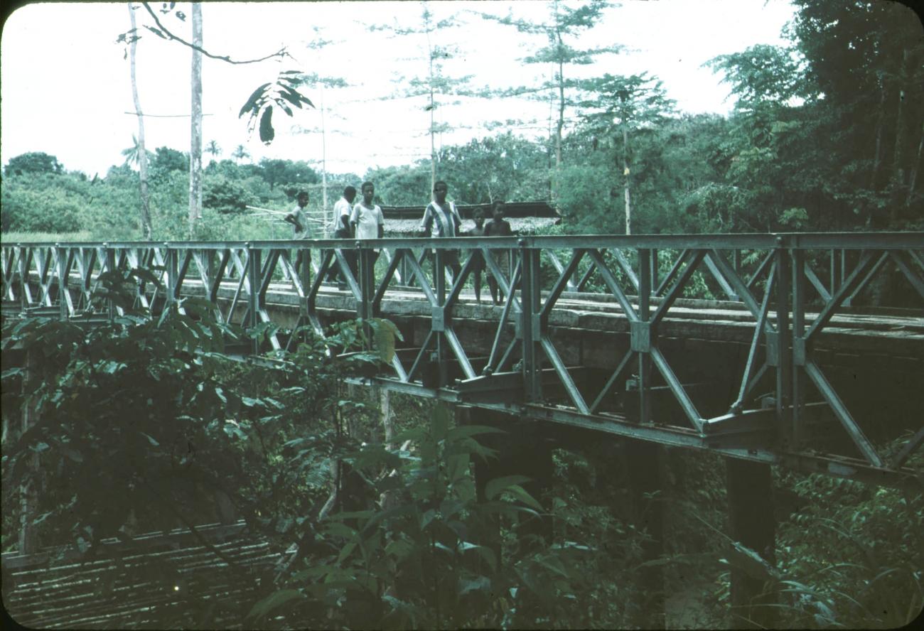 BD/171/328 - 
Brug van staal en hout.
