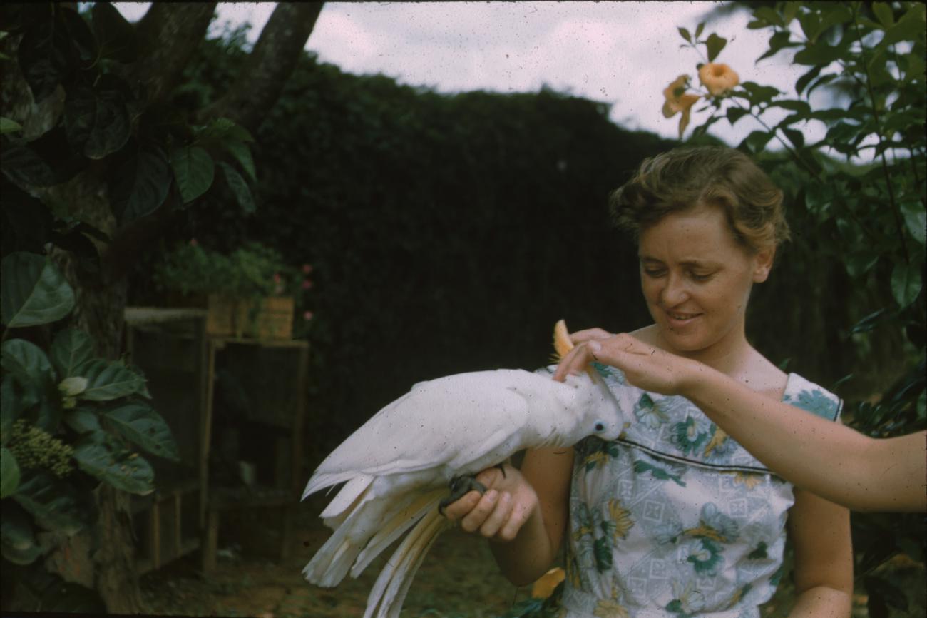 BD/171/505 - 
Westerse vrouwen met vogel.
