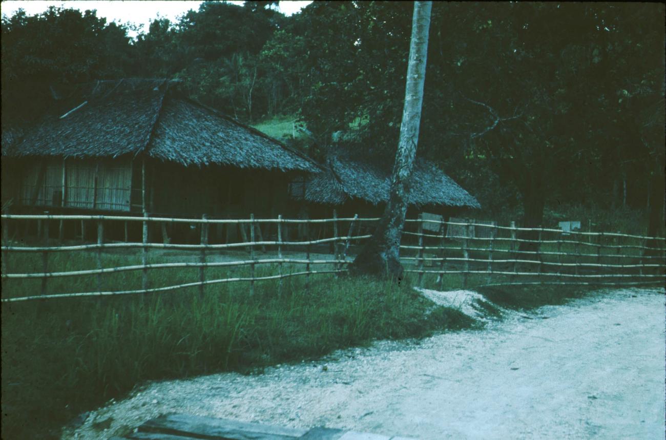 BD/171/1248 - 
Huis met rieten dak en tuinhekken
