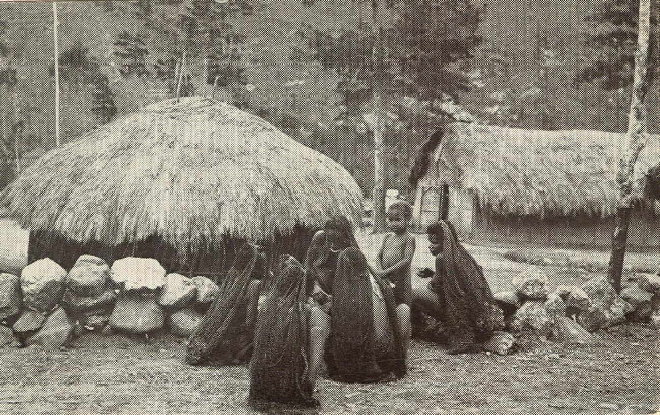 BD/269/1256 -
Dorpshutten in de Baliem-vallei, ansicht uitgegeven door Missieprocuur Franciscanen