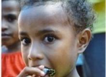 Lokale Papua-talen gaan langzaam verloren