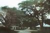 BD/279/71 Begin van de fanindi weg  In Manokwari
