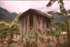 BD/132/167 houten hut tussen bananenplanten