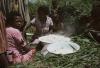 BD/132/199 vrouwen bereiden rijst