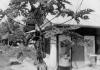 BD/277/20 Huis op militair kampement
