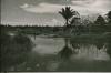 BD/309/211 Landschap met rivier en prauwen en op de oever huis in aanbouw