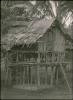BD/309/252 Traditionele paal woning