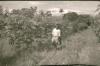 BD/309/305 Man en kind lopen langs de cacaobomen