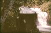 BD/309/324 Waterval in de Vogelkop