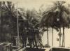 BD/318/65 Groepsfoto van mariniers