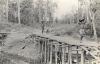 BD/269/1135 Papoea's dragen de bagage van Franciscaans broeder Henk Blom over een brug naar de pastorie in Agats