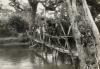 BD/269/1248 Franciscaan en Papoea's op loopbrug over rivier